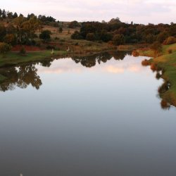 Wonderland 45 avatar